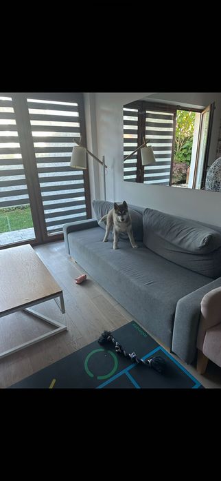 Sofa szara Ikea oddam za darmo