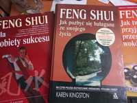 Feng Shui-3 książki
