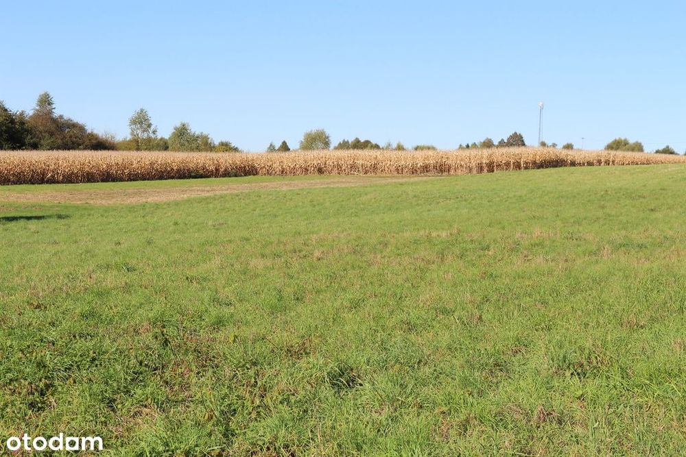 Działka budowlana w Jerzmanowicach