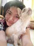Pet Sitting, Pet Boarding, Pet Walking