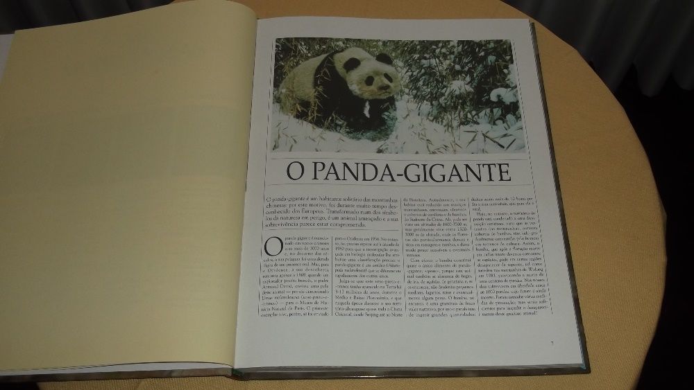 livro da Vida Selvagem Animais da Montanha muito lindo