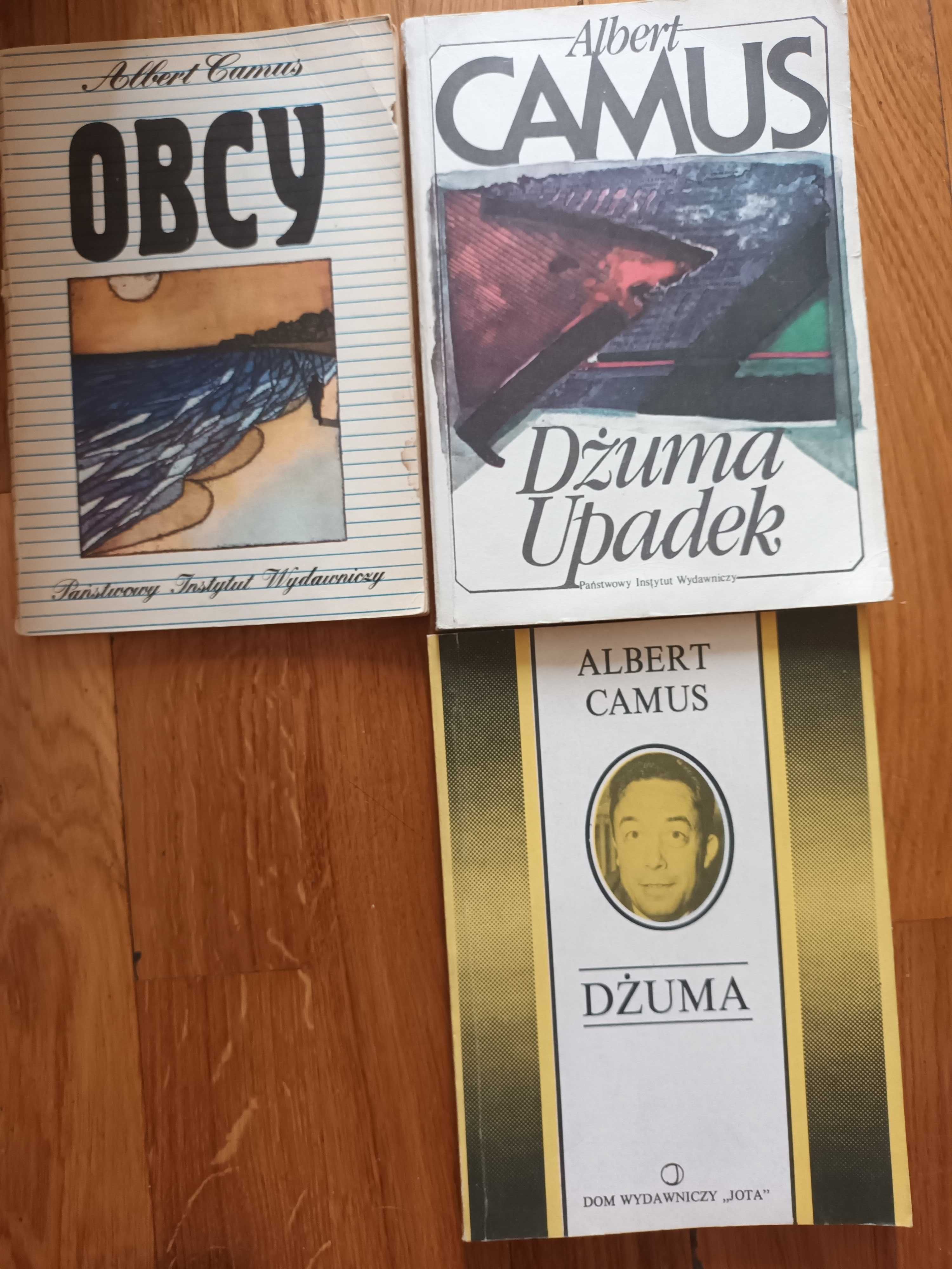 Camus Dżuma 14., Dżuma Upadek 12,