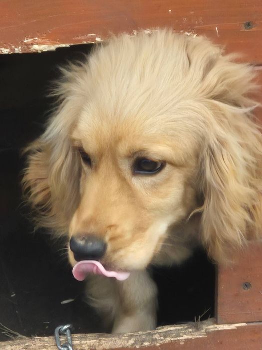 Відам в добі руки