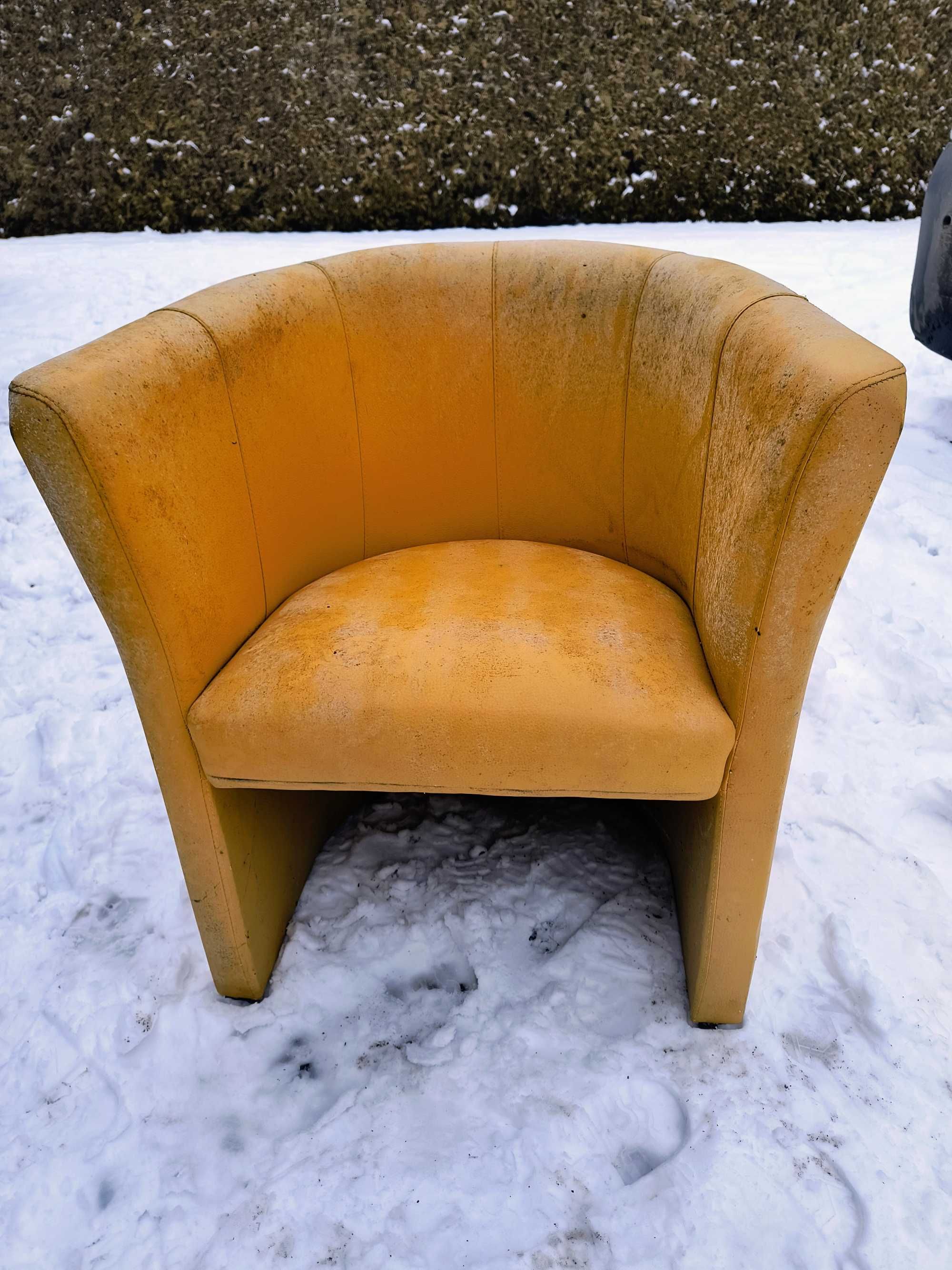 Fotel klubowy / recepcyjny