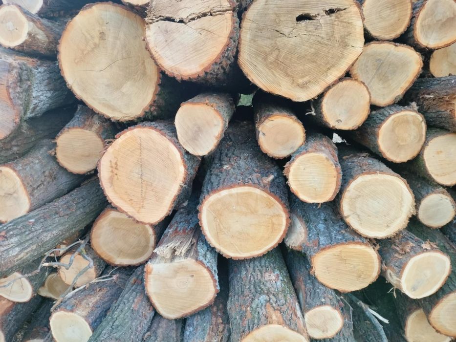 Drewno opałowe liściaste i iglaste