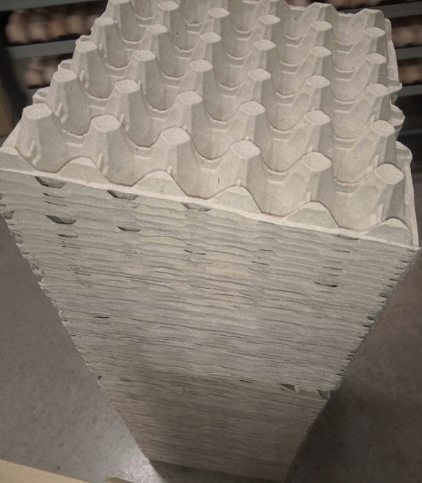 Лотки для 30 яєць