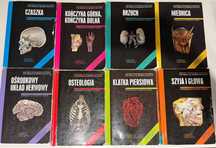 Anatomia Skawina Komplet
