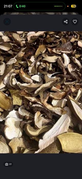 Grzyby suszone mieszane