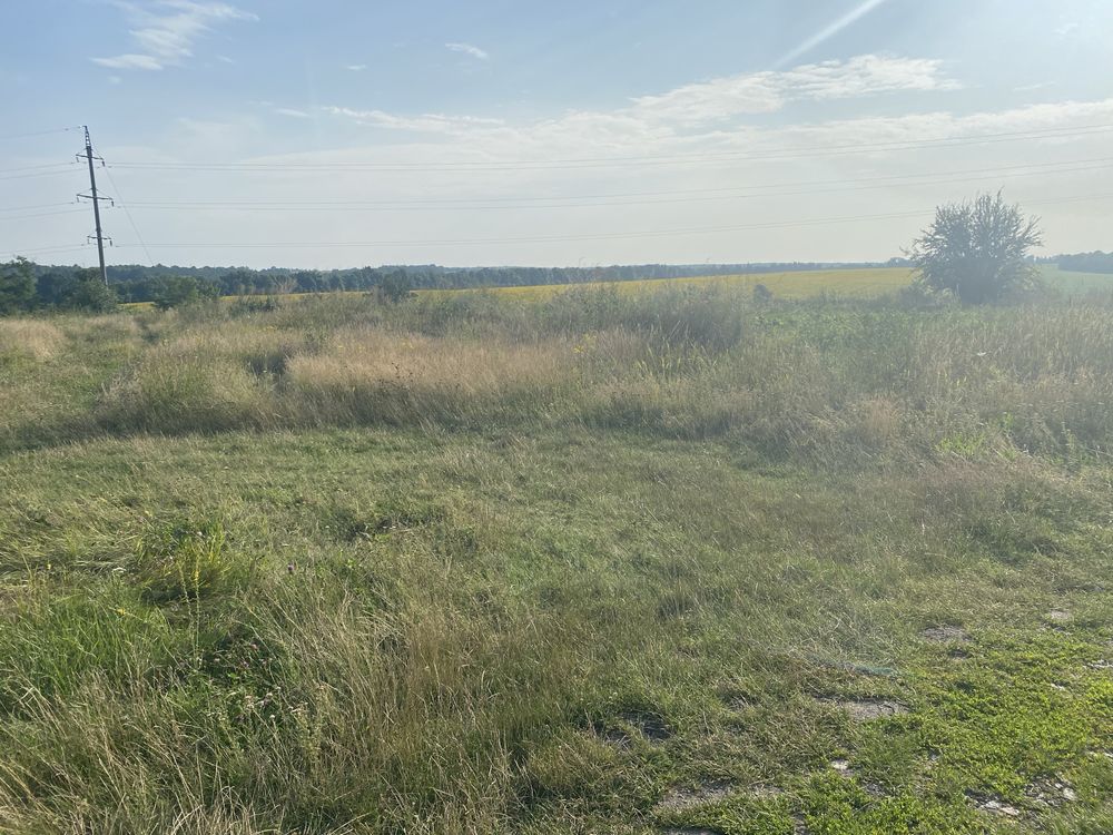 Ділянка під забудову в Київській олб Тараща