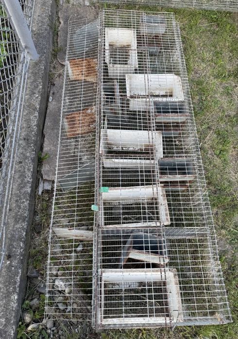 Клітки для кролематок