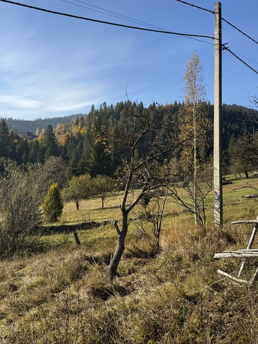 Ділянка Карпати,Микуличин.Земля в горах з газом