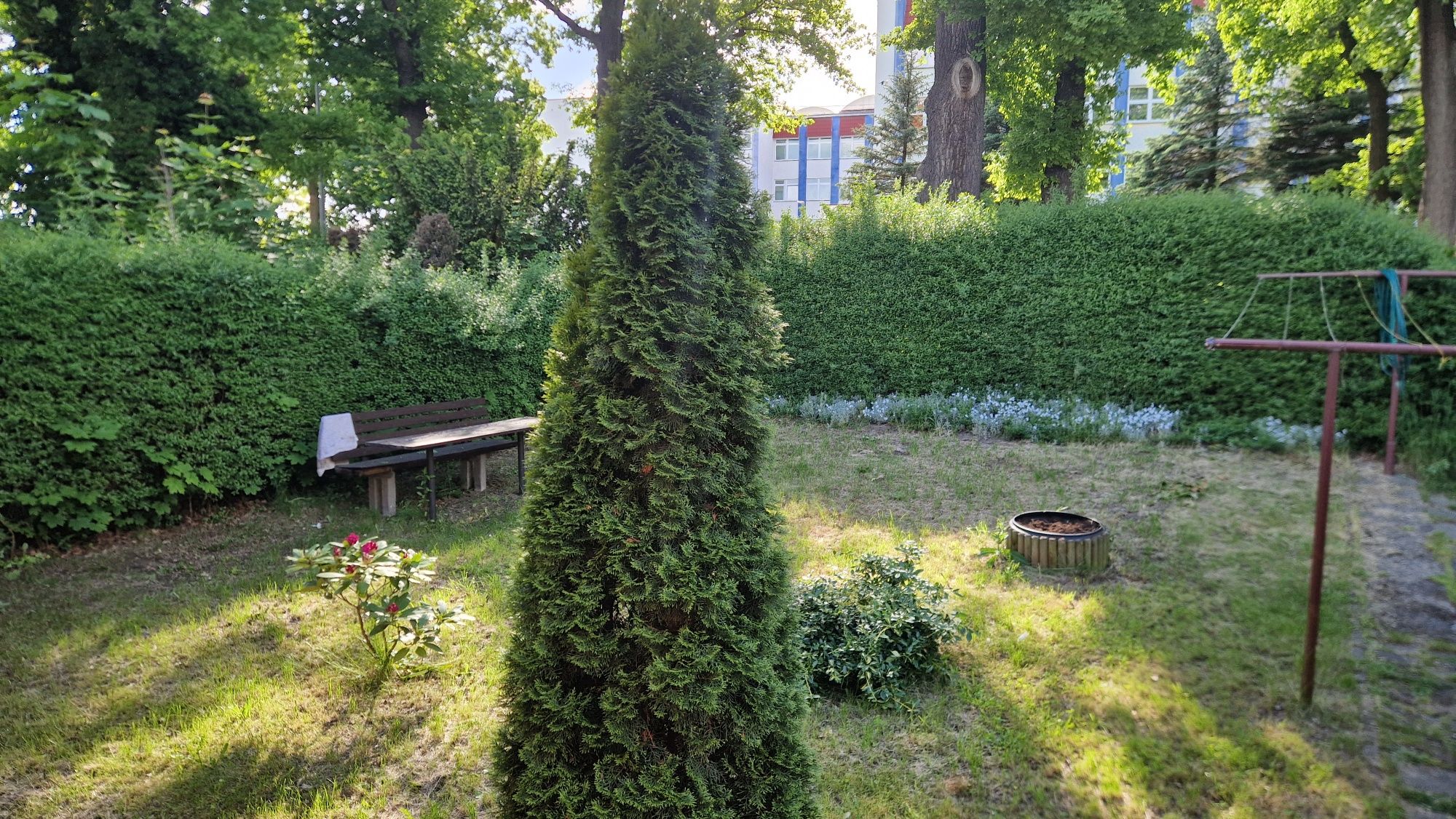 Mieszkanie Zgorzelec