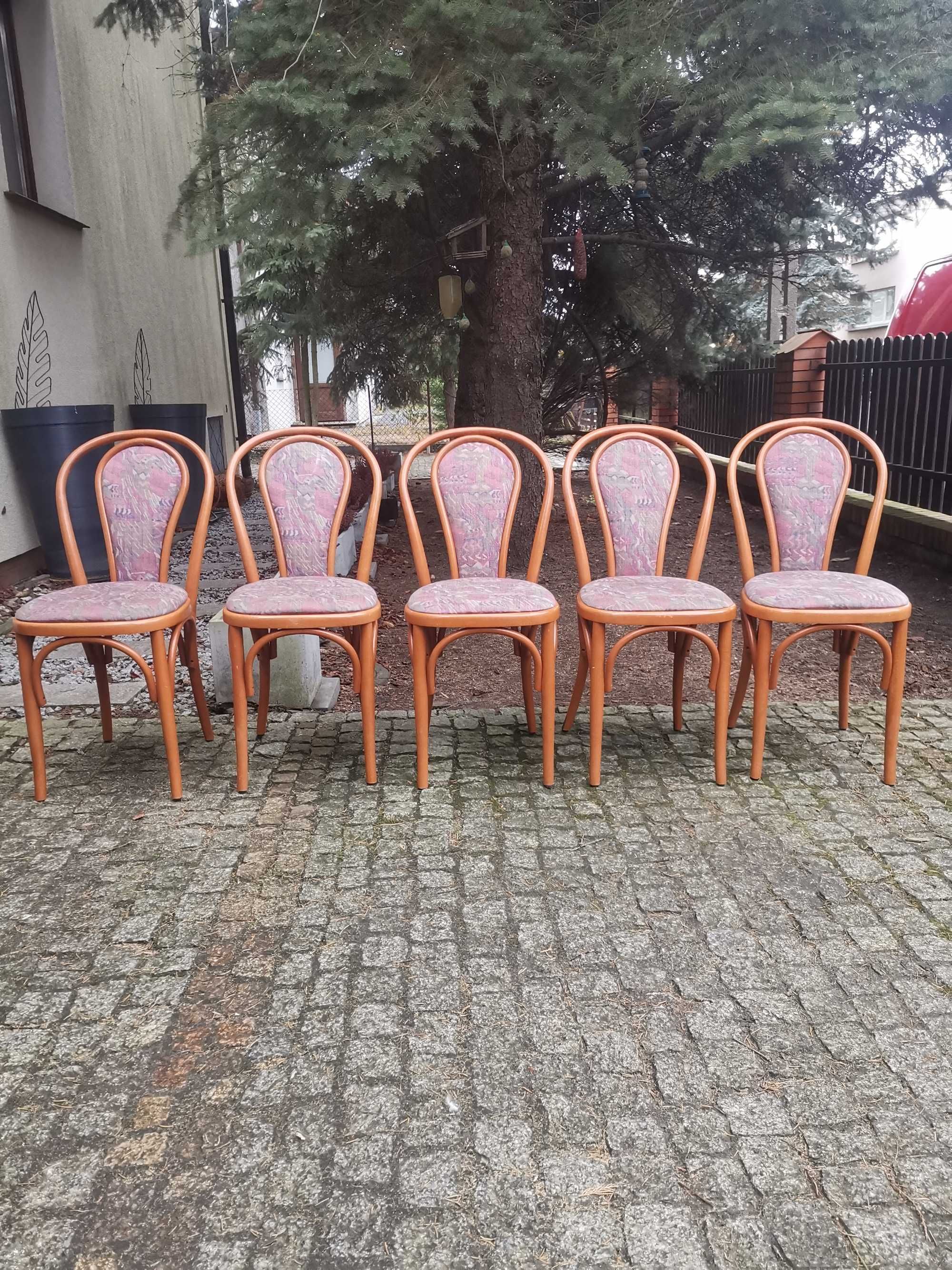 Gięte Bukowe krzesła fameg Radomsko A - 18 tapicerowane. Piękny stan