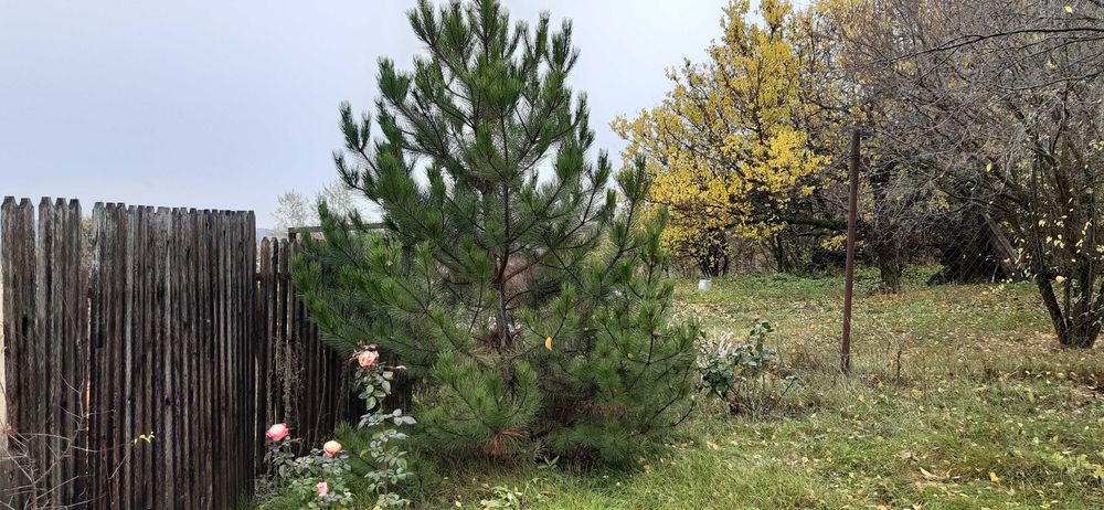 продаєм будинок із жилою літнєю кухнею