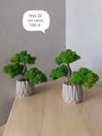 Drzewka bonsai z mchu