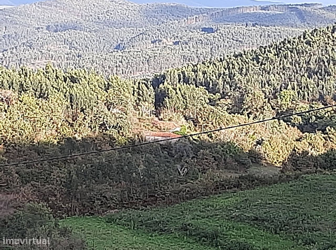 Vende Quinta em Paraíso Castelo Paiva