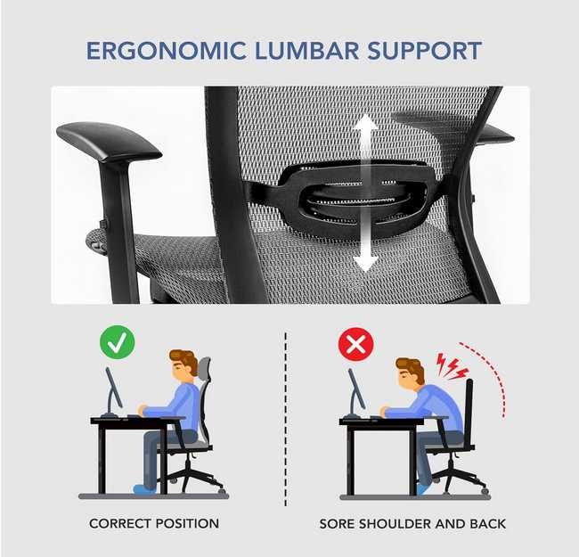FLEXISPOT OC3B Ergonomiczny Executive  Biuro Krzesło