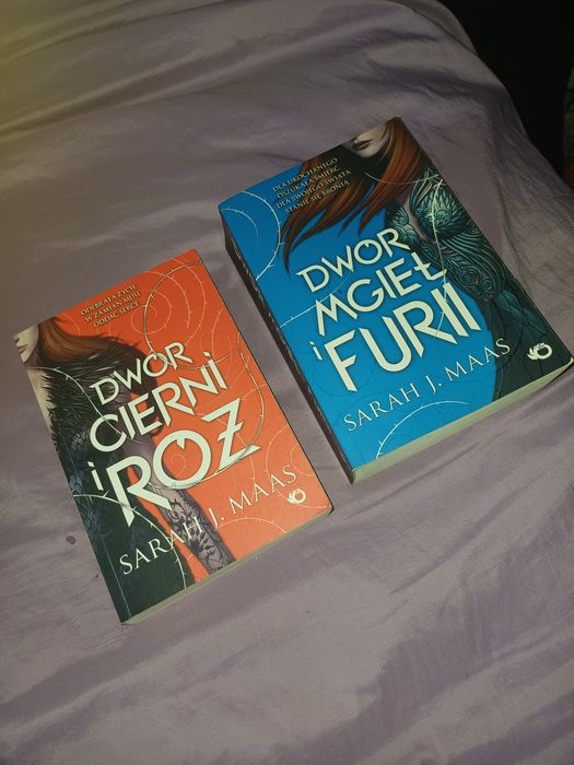 dwór cierni I róż dwór mgieł I furii