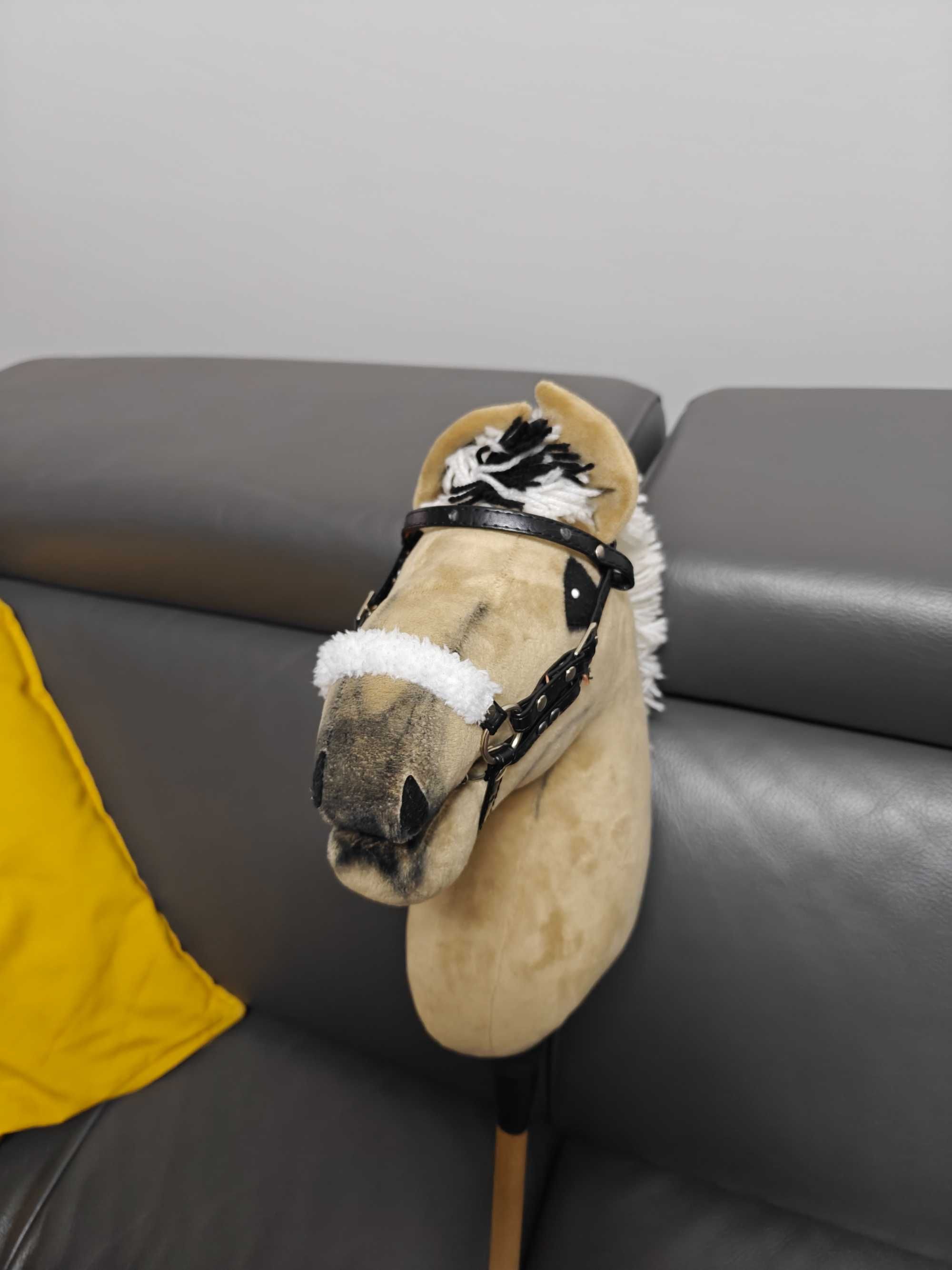 Hobby Horse Fiord + ogłowie