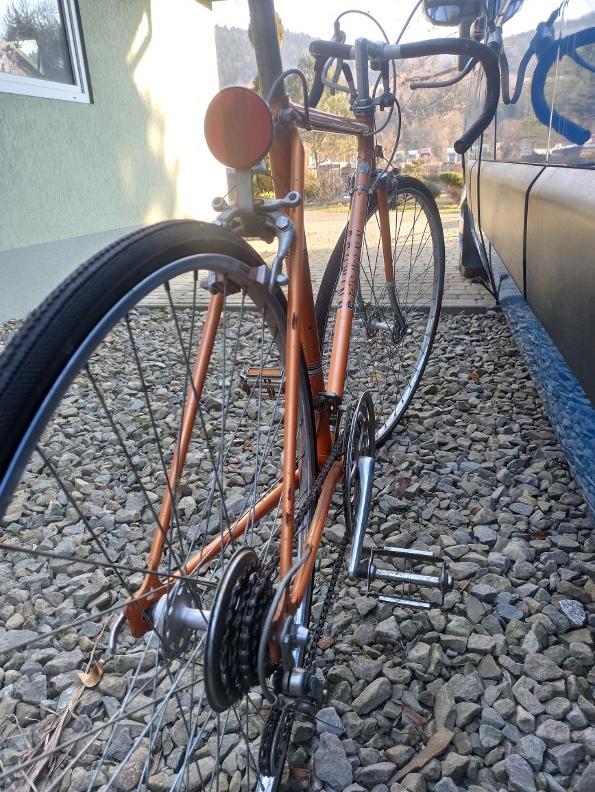 Rower  schwinn Le Tour 2