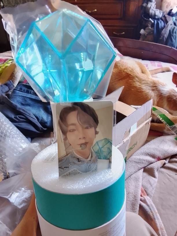 Lightstick Oficial Shinee