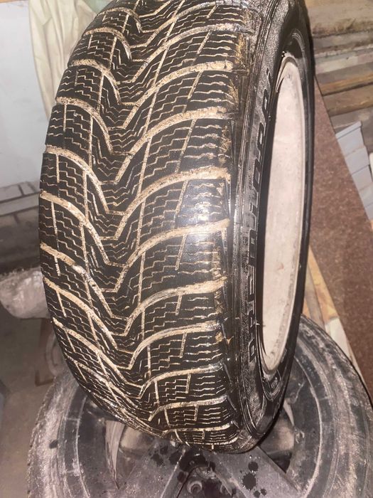 шини зимові Premiorri ViaMaggiore 205/55 R16