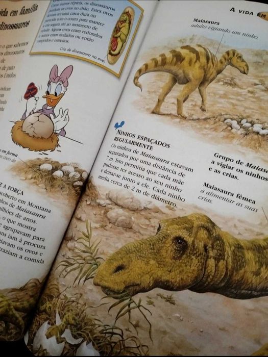 Livro "O Maravilhoso Mundo do Conhecimento - Os Dinossauros" 2002