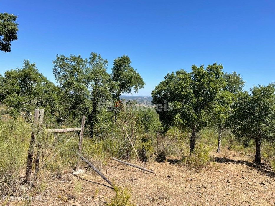 Terreno Rústico com 17750m2 - Charneca - Atalaia, Gavião