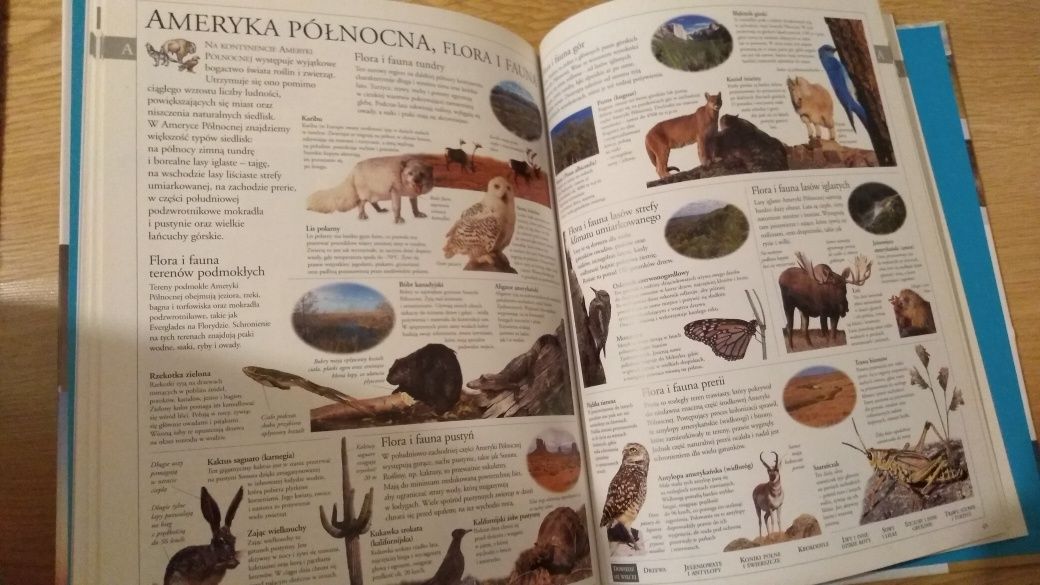 Ilustrowana encyklopedia dla całej rodziny tom 1/16 Gazeta Wyborcza