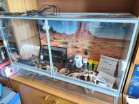 Terrarium 80x40x50