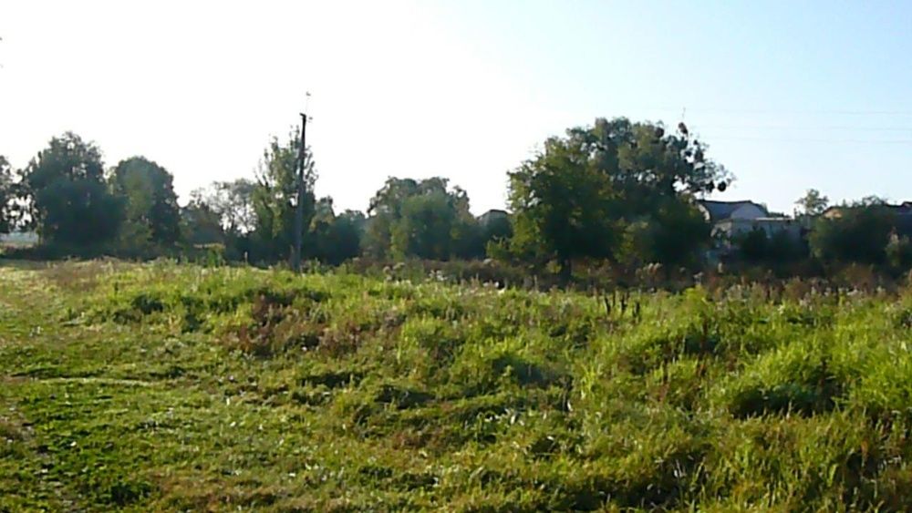 земельна ділянка в с. Тарасівка, Фастівський (Києво-Святош) район