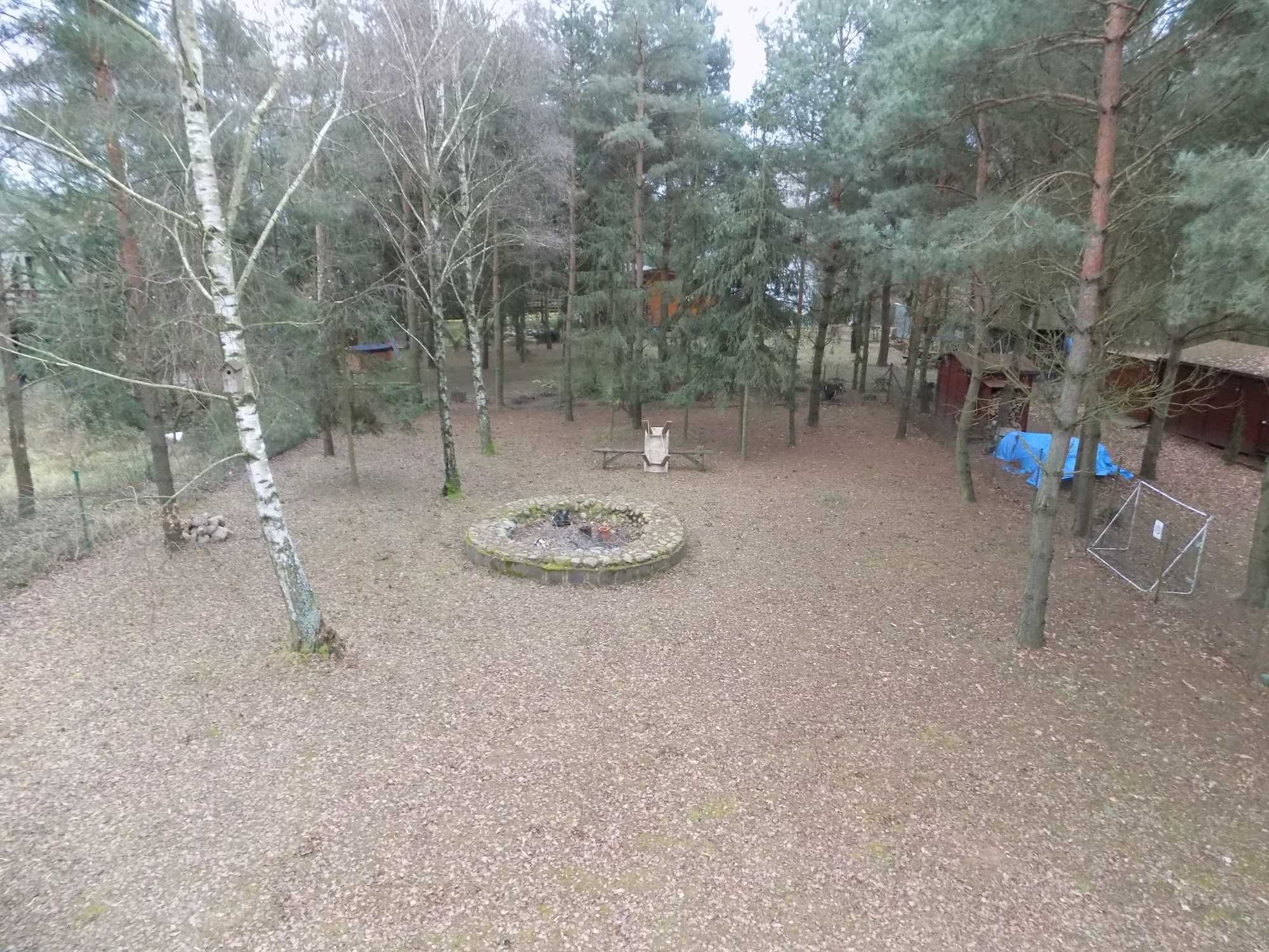 Dom nad Jeziorem Niedzięgiel