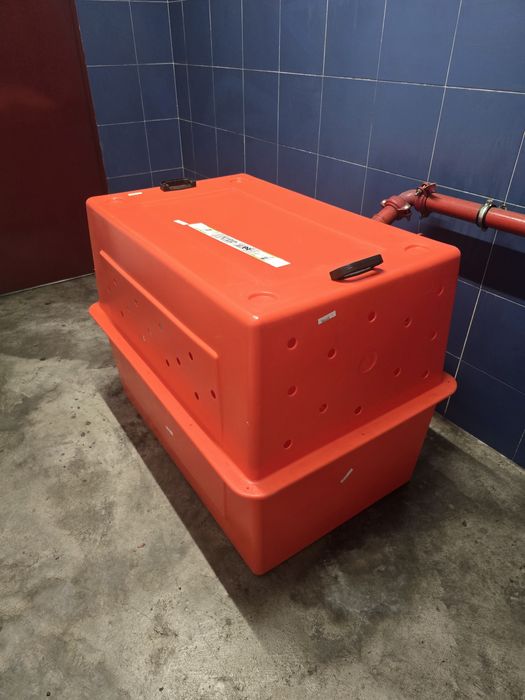 Transportadora de animais de grande porte