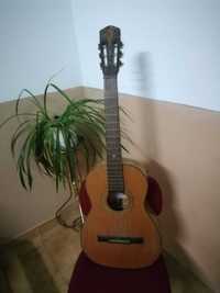 Guitarra Portuguesa de 6 cordas - (Viola)