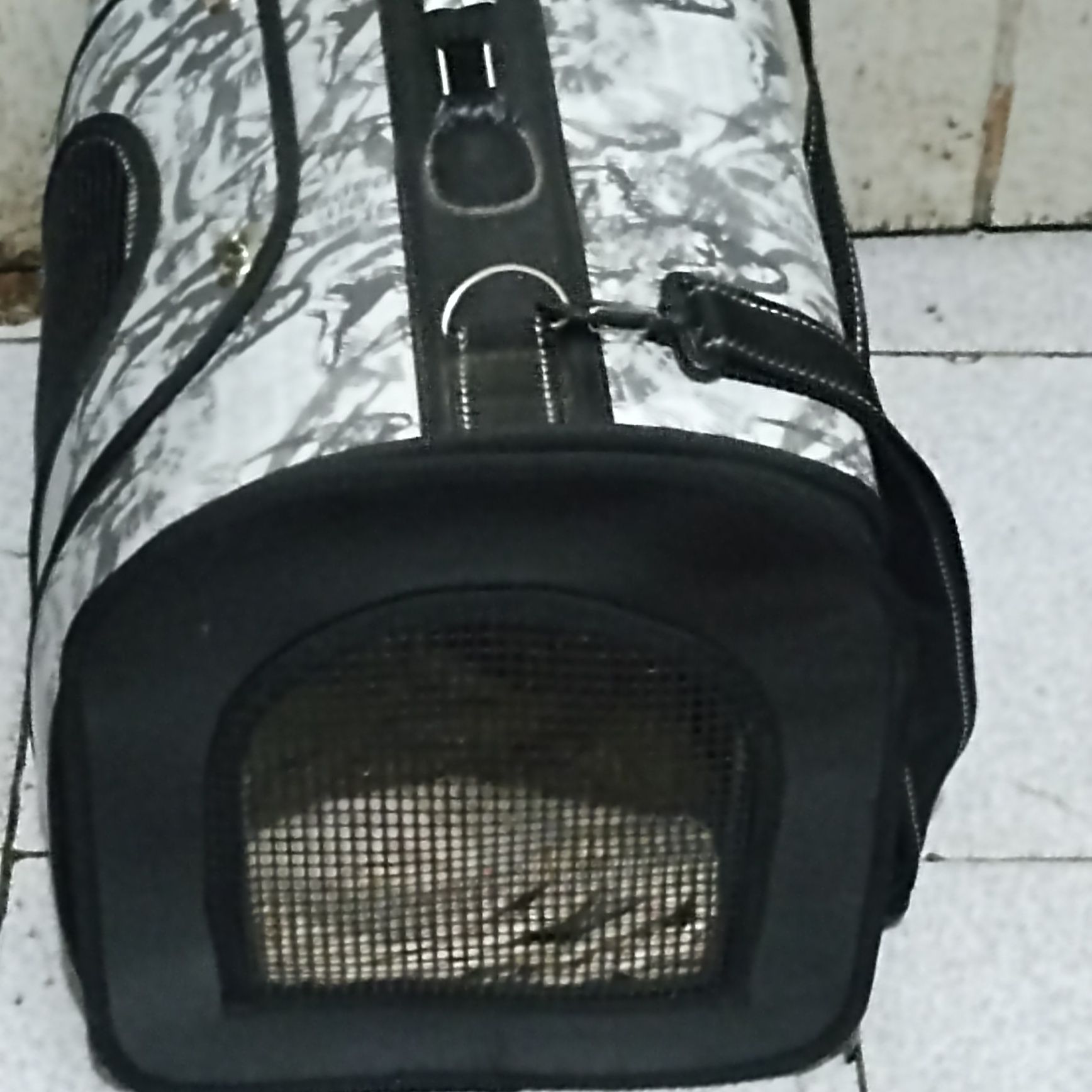 Transportador para gatos e ou cães pequenos em muito bom estado