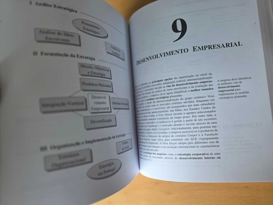 Livro Estratégia-Sucesso em Portugal Adriano Freire.MBA/pós-graduação