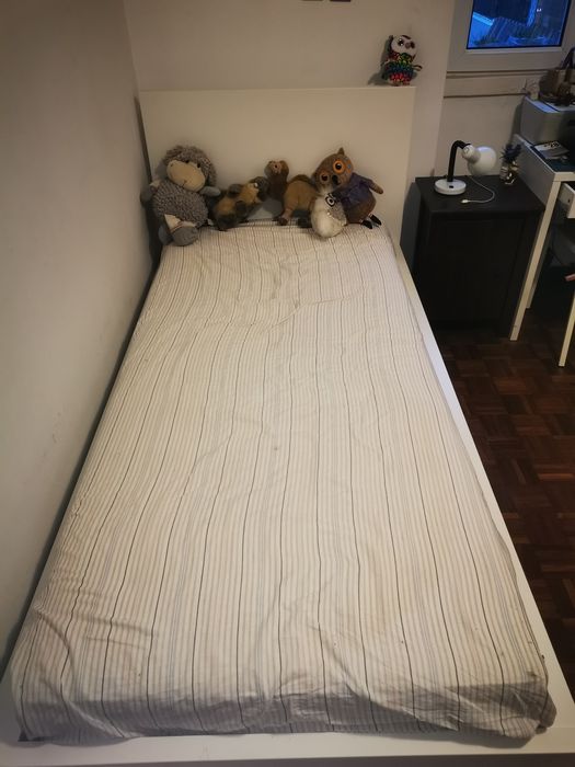Cama + colchão de solteiro
