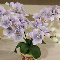 Продам орхидеи и цветы из гофробумаги