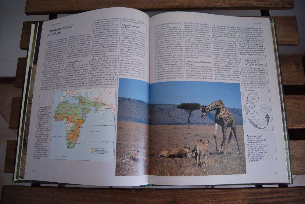 Vida Selvagem - Animais da Savana - Selecções do Reader's Digest