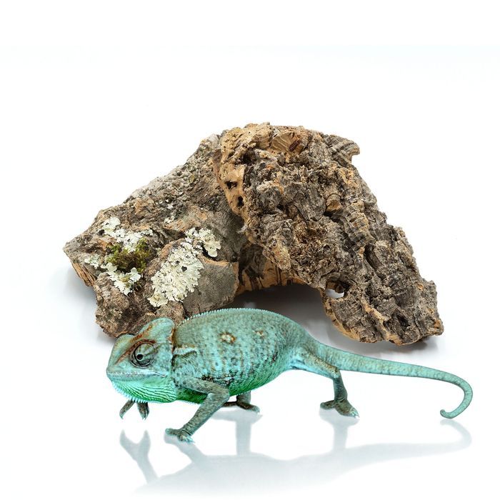 Biocork Bits Ścinki Kory Dębu Korkowego 250G