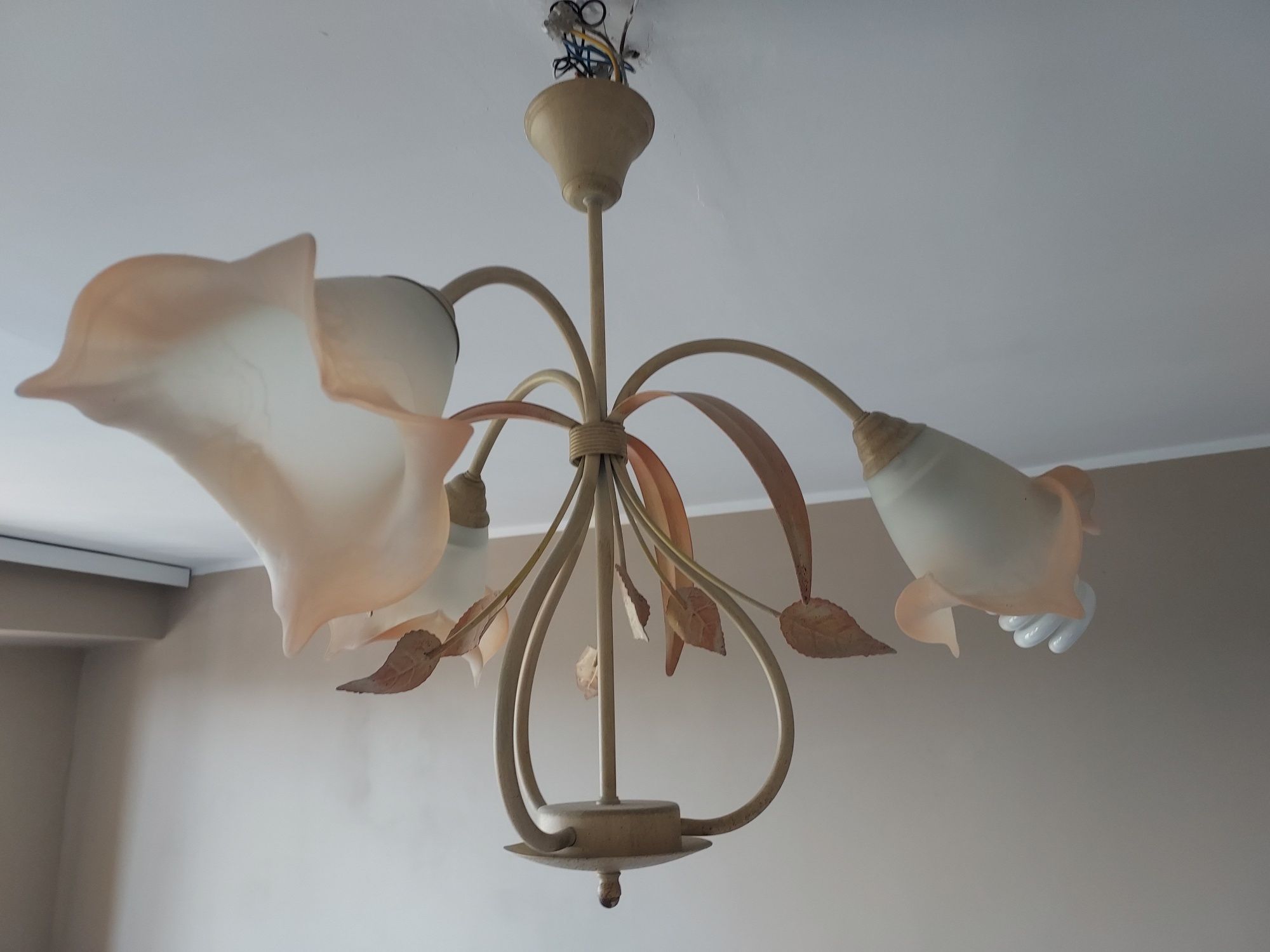 Piękny żyrandol kwiaty lampa sufitowa