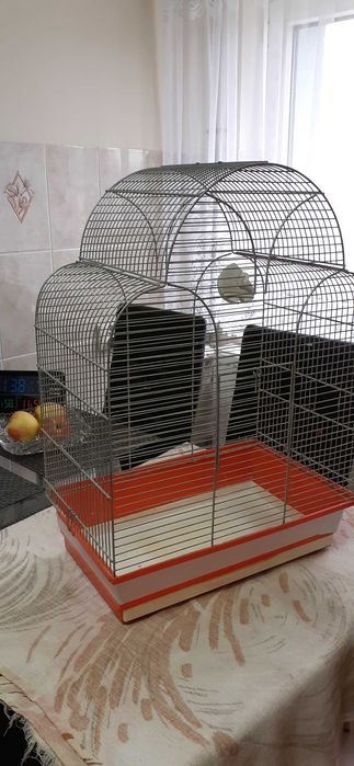 Klatka dla papugi lub innego ptaka.