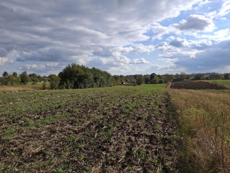 Продаж ділянки під забудову 44сот в с.Ліщин 20 км від м.Житомир