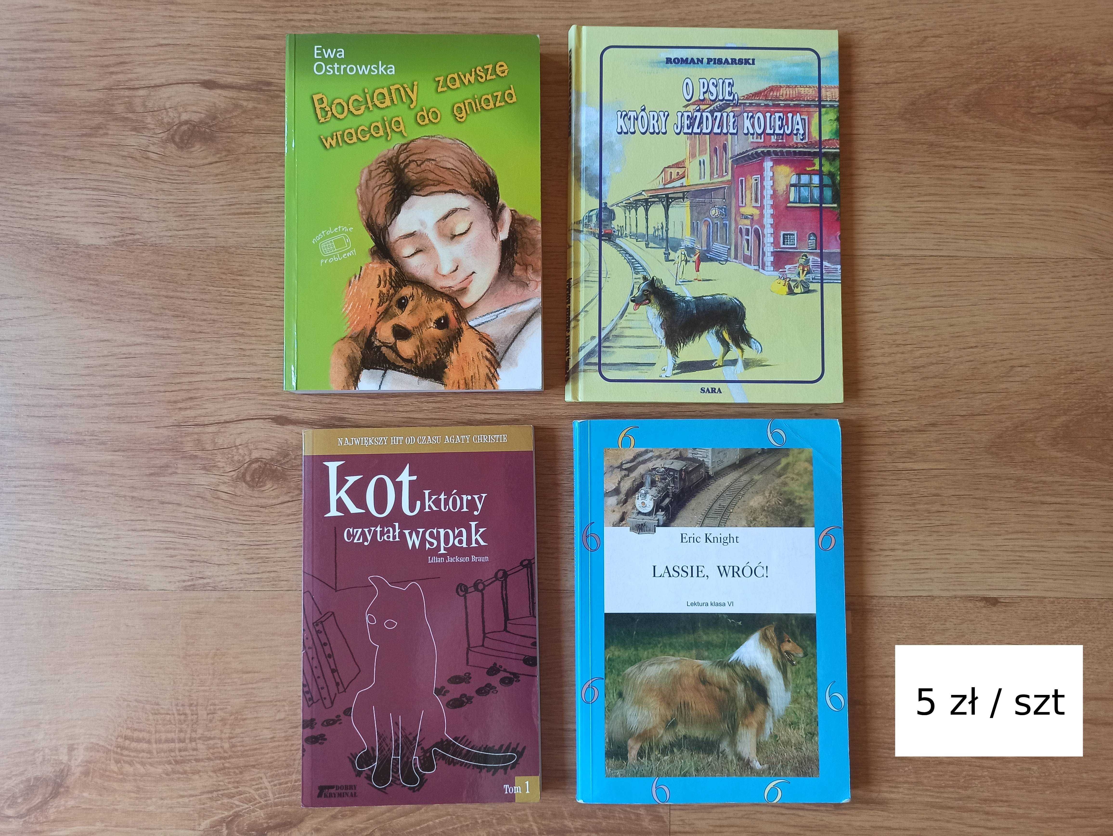 Książki fantasy, romans, przygodowe i inne