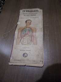 Livro antigo Anatomia