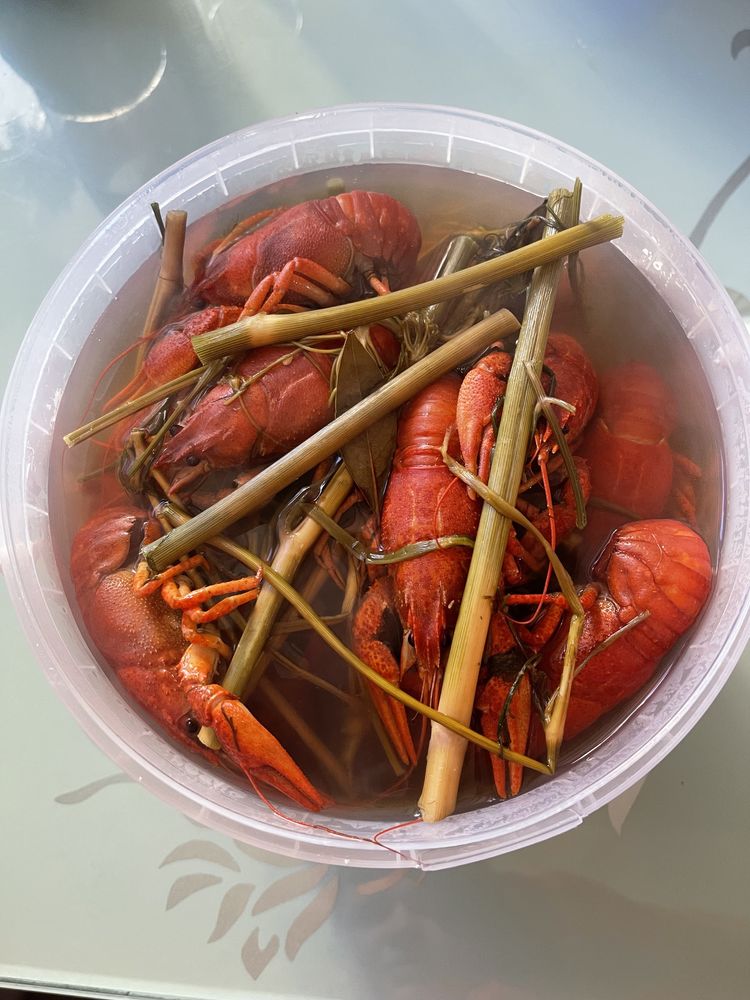 Раки Запорожье. Живые раки.