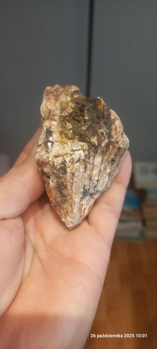 Minerały skamieniałości baryt, goethyt