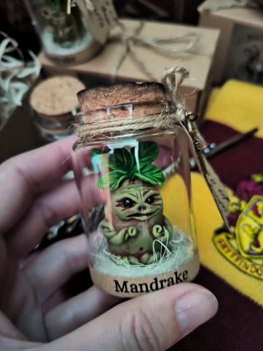 Корень Мандрагоры сова в баночке. Harry Potter. Mandrake подарунок на