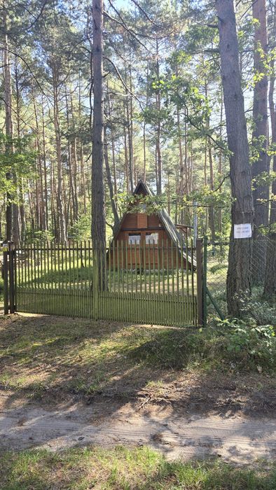Domek letniskowy w lesie