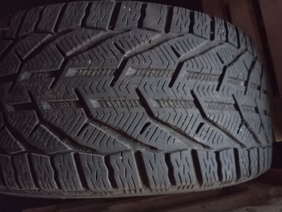 Зимова ризина.Вживана.